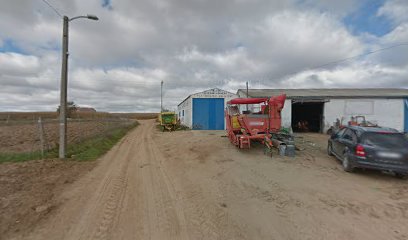 Boyero Rogado C