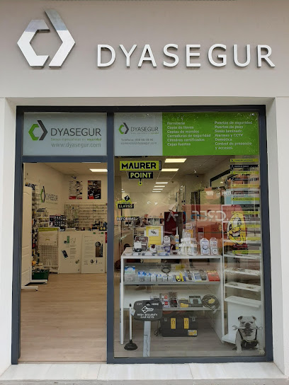 Cerrajeros 24h DYASEGUR Almeria