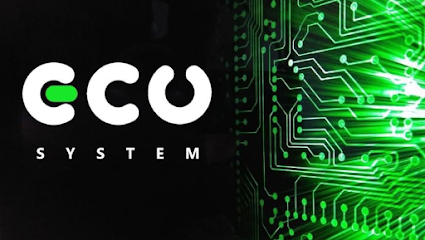 ECU SYSTEM — cerrajero en Tolosa