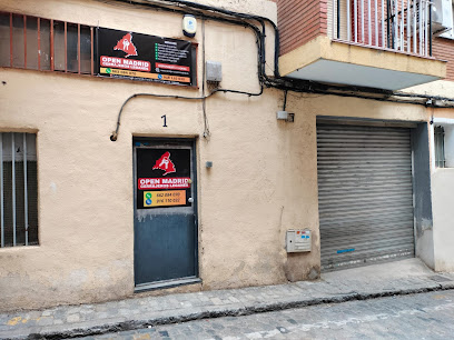 Open Madrid Cerrajero Leganés 24h
