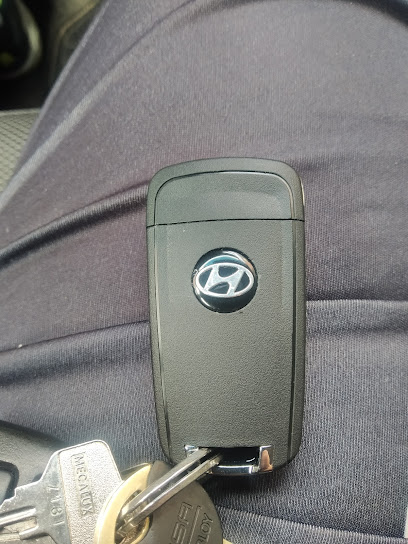 Prieto Llaves y mandos de coche.