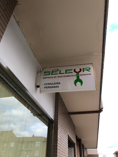 Seleur S L