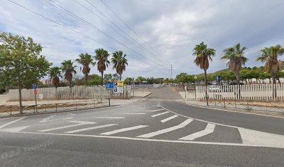 Vinyes